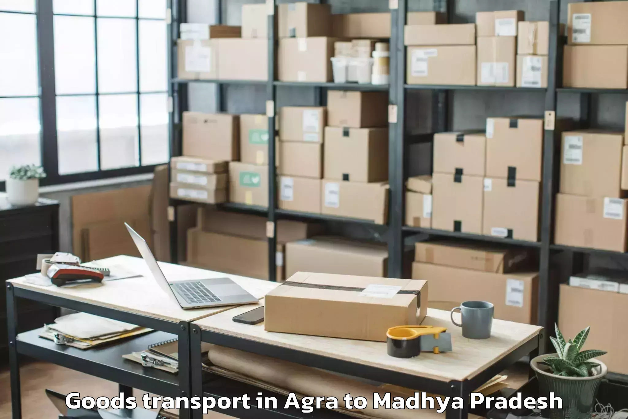 Top Agra to Chicholi Goods Transport Available